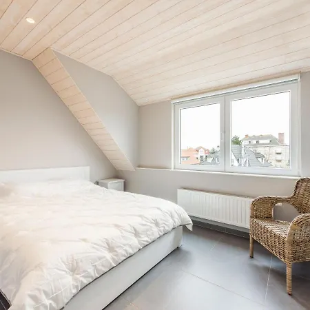 By The Sea In Belgium With Sunny Terrace Villa *