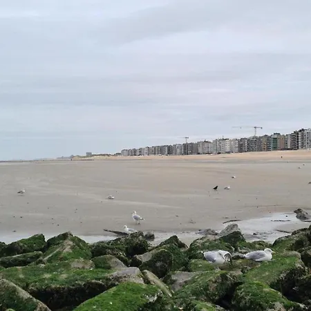 By The Sea In Belgium With Sunny Terrace Villa *