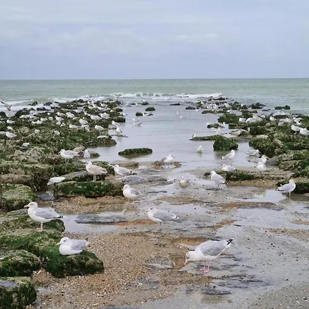 Koetje Boe Located Near The Sea In