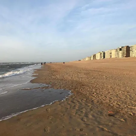 Villa By The Sea In Belgium With Sunny Terrace Coxyde
