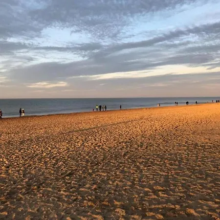 By The Sea In Belgium With Sunny Terrace *