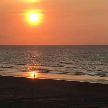 By The Sea In Belgium With Sunny Terrace