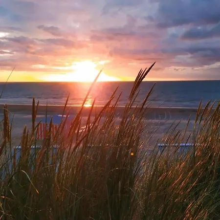 By The Sea In Belgium With Sunny Terrace Villa *